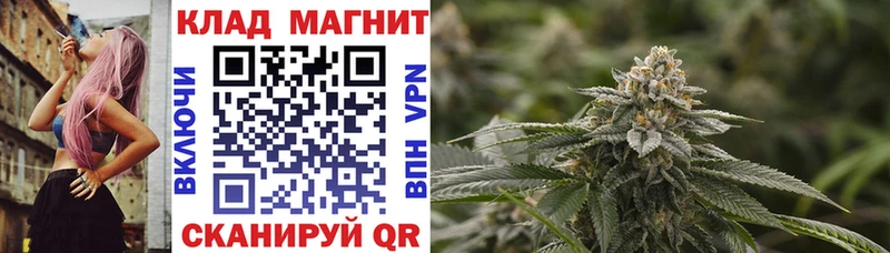 Купить наркоту Уржум Галлюциногенные грибы  A-PVP  Меф  Гашиш 